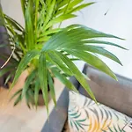 Modernes In Zentrumsnähe Mit Eigenem Stellplatz * Baden-Baden