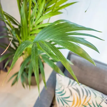 Modernes In Zentrumsnaehe Mit Eigenem Stellplatz * Baden-Baden