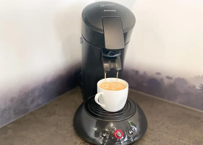 Modernes In Zentrumsnaehe Mit Eigenem Stellplatz 바덴바덴